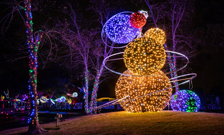 Affordable holiday lights limo rental in Highlands Ranch, CO